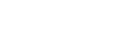 TriVerity Logo